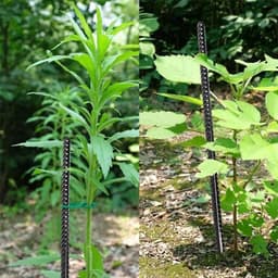 Zware Grondankers voor Tuin en Camping - 12 Inch Stalen Tentpalen, Poortsteunen en Plantsteunen met Zwarte Poedercoating — thumbnail 3