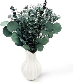 eucalyptus, gedroogd, 3 soorten gemengd voor de bruiloft — thumbnail 1