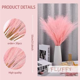 Gedroogde pampasbloemen, natuurlijke gedroogde bloemen, boeket gedroogde bloemen, decoratie, pampasgras voor bruiloft, decoratie, bohemian, woonkamer (roze) — thumbnail 4