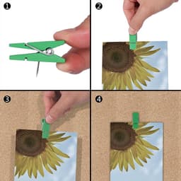 50x Kleurrijke Houten Push Pin Clips voor Prikbord en Foto's - Multifunctionele Plakspelden — thumbnail 5