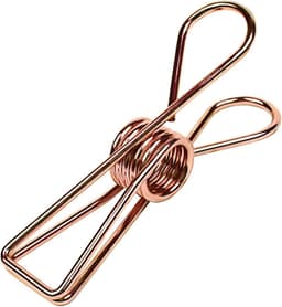 RVS Wasknijper Set van 20 - Roestvrijstalen Kledingklemmen voor Buiten - Multi-inzetbare Utility Clips voor Keuken en Tuin - Stevig en Weerbestendig — thumbnail 1