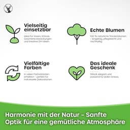 Dekogras gedroogd gras, siergras, konijnenstaarten, Lagurus Ovatus, fluwelen gras, hazenstaartgras, gedroogde bloemen, natuurlijk, boho, 120-150 stuks, 100 g, oudroze — thumbnail 5