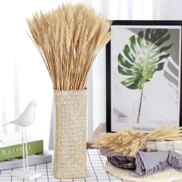 Gedroogde tarwepunten, decoratieve tarwepunten, decoratieve gedroogde bloemen voor feestjes, open haarden, huis, kerk, tafelvaas, bruiloft, doe-het-zelf, 40 cm — thumbnail 4