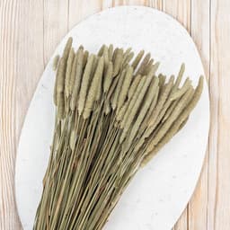 Mech-mech Gedroogd Timothy-gras - naturel — thumbnail 2