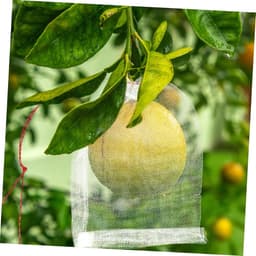 Fruit Beschermzakken - Netzakken Tuin - Fruit Beschermen - Met Touwtjes - 150 Stuks - Wit — thumbnail 2