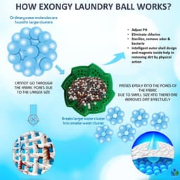 SnelShoppen - Exongy Wasballen, Wasmiddelvrij Wassen, 1000 Wasbeurten, BPA-vrij, Geschikt voor Allergieën en Eczeem, Duurzaam en Groen voor Kinderen — thumbnail 4