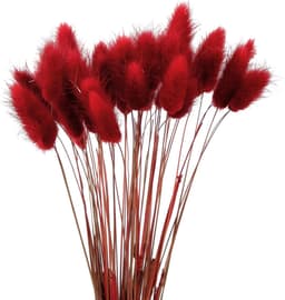 60 stuks 40 cm natuurlijke droge bloemen decoratie, gedroogd pampagras decoratie, verwelkende niet droge bloemen, boho decoratie, super pluizig voor bloemstukken, thuisdecor, rood — thumbnail 1