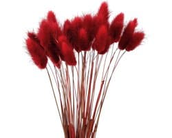 60 stuks 40 cm natuurlijke droge bloemen decoratie, gedroogd pampagras decoratie, verwelkende niet droge bloemen, boho decoratie, super pluizig voor bloemstukken, thuisdecor, rood