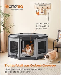 Puppyren Achtzijdig Groot — thumbnail 3