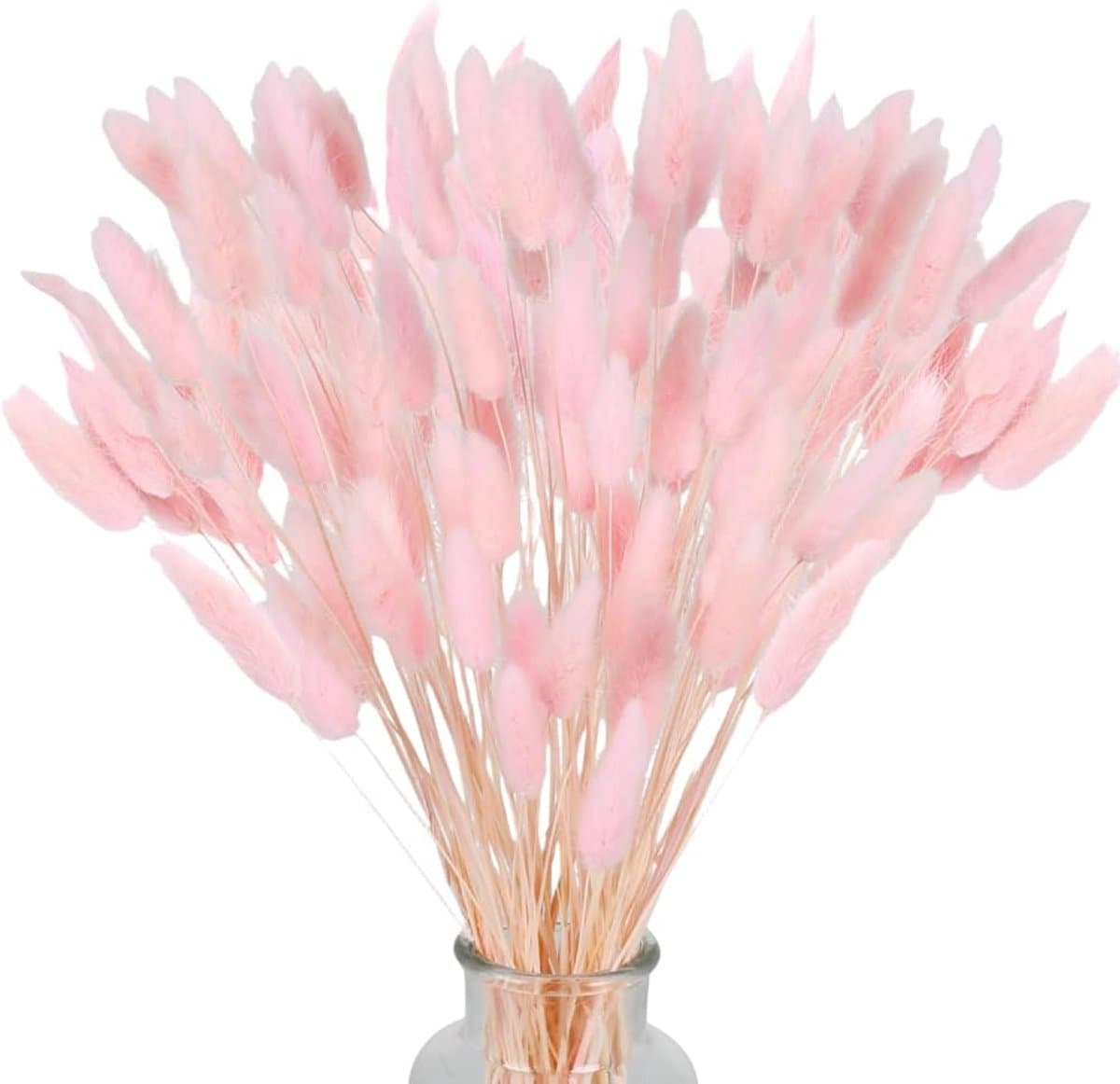 Gedroogd pampasgras, konijnenstaart, gras, 60 stuks, natuurlijke droogbloemen, boeket, decoratie, kunst, groot, droogbloemen, pampasgras voor interieur, fotografie, bruiloft, roze — afbeelding 1