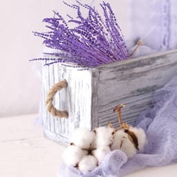 Gedroogde lavendel, 30 cm, droogbloemen, boeket, natuurlijke lavendel, bundel, 60 g, bloemen, decoratief boeket voor feestjes, bruiloft, decoratie, doe-het-zelf wooncultuur — thumbnail 4