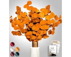 Black Week Birkental eucalyptus - extra duurzame en 65-70 cm lange droogbloemen decoratie - gedroogde eucalyptus - gedroogde bloemen, vaas droogbloemen boeket, boho decoratie (oranje)