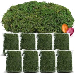 200g groen doe-het-zelf-knutselmos voor paasmanden - echt decoratief mos voor het knutselen en decoreren van paasmanden (Set2 - decoratief mos - 200g) — thumbnail 1