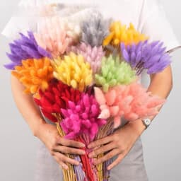 60 stuks 40 cm natuurlijke droge bloemen decoratie, gedroogd pampagras decoratie, verwelkende niet droge bloemen, boho decoratie, super pluizig voor bloemstukken, thuisdecor, rood — thumbnail 2