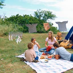 Droogcarrousel x2 -RVS Droogrek buiten met 30 Knijpers - Hangend Droogrek - Wasrek voor Binnen en Buiten- Camping Droogrek -Droogmolen voor sokken - Metalen Wasrek met Wasknijpers -Droogmolen Buiten-Extra Stevig — thumbnail 4