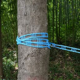 Uittrekbare Waslijn - Draagbare Lijn - Buiten Drogen - Winddicht Ontwerp - 5 Meter - Nylon — thumbnail 2