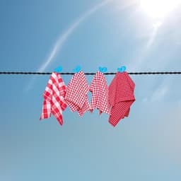 Draagbare Waslijn - Reiswaslijn - Kleding Drogen - Montage Zonder Boren - Tot 2.5 Meter - Zwart — thumbnail 5