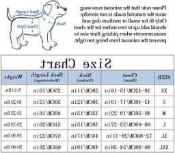 Hondenregenjas met Rits en Reflecterende Knopen, Waterafstotend en Verstelbaar, Verwijderbare Kap, Stijlvolle Premium Regenjassen voor Honden - Verkrijgbaar in Maten XS tot XXL - Geel - M — thumbnail 3