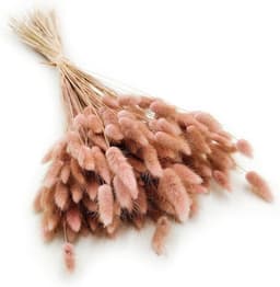 Dekogras gedroogd gras, siergras, konijnenstaarten, Lagurus Ovatus, fluwelen gras, hazenstaartgras, gedroogde bloemen, natuurlijk, boho, 120-150 stuks, 100 g, oudroze — thumbnail 1