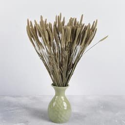 Mech-mech Gedroogd Timothy-gras - naturel — thumbnail 5