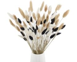 100 Bunny Tail Dried Flowers Bouquet 42cm Artificial Pampas Grass