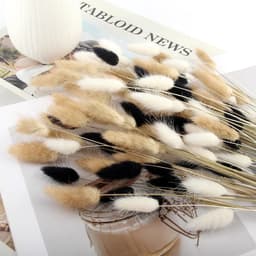 100 Bunny Tail Dried Flowers Bouquet 42cm Artificial Pampas Grass — thumbnail 5
