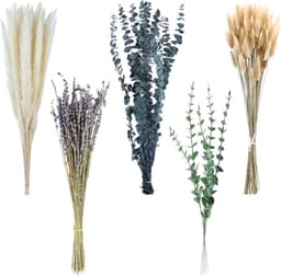 Gedroogde natuurlijke bloemen, decoratief pampasgras, compleet met gedroogde bloemen, decoratie in boho-stijl, voor huis, tuin, feest, kantoor om te knutselen — thumbnail 1