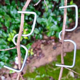 15 Stuks Boom Tak Buig Clips voor Vruchtbomen - Verstelbare Takken Spreider voor Tuinbouw — thumbnail 2