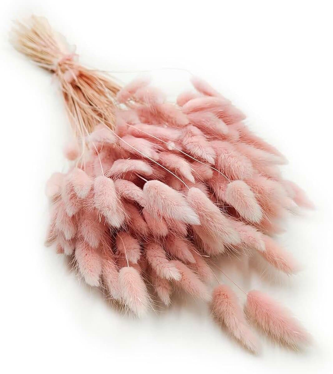 Dekogras, gedroogd gras, siergras, hazenstaarten, lagurus, ovatus, fluweelgras, haasstaartgras, droogbloemen, natuurlijk boho, 120 - 150 stuks, 100 g, parelroze — afbeelding 1