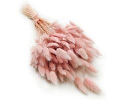 Dekogras, gedroogd gras, siergras, hazenstaarten, lagurus, ovatus, fluweelgras, haasstaartgras, droogbloemen, natuurlijk boho, 120 - 150 stuks, 100 g, parelroze