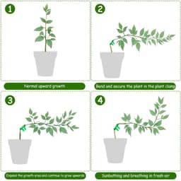 Lst Clips voor lage stress training clips, 140 stuks, plantenstamsteun, takbuiger, kunststof 90 graden plantenstamtrainer, verstelbare hoek plantenclips voor tuin boom bloem (groen, 2 maten) — thumbnail 5