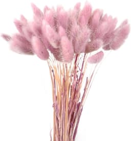60 stuks 40 cm natuurlijke droge bloemen decoratie, gedroogd pampagras decoratie, verwelkende niet droge bloemen, boho decoratie, super pluizig voor bloemstukken, thuisdecor, rood — thumbnail 5