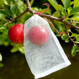 Opbergzakken Fruit - Aardappelzak Mesh - Producten Bewaren - Met Trekkoord - 25 Stuks - Wit — thumbnail 2