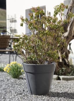 Grondanker XL metaal 50 cm — thumbnail 3