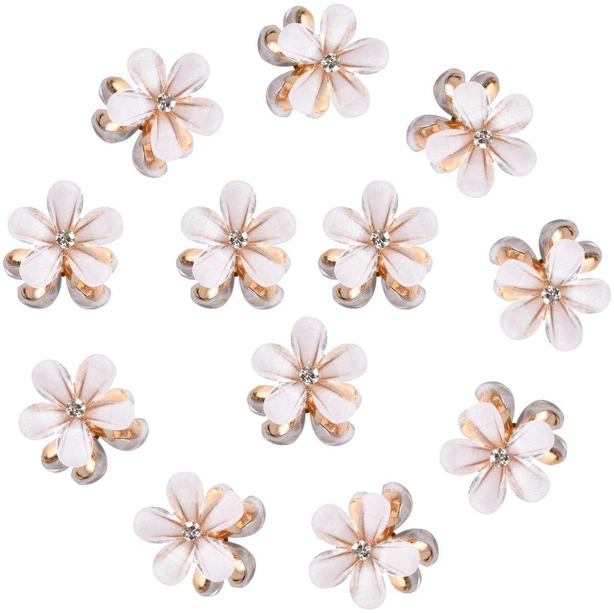 Dailygoods- Haarclips 12 Stuks - Mini Klauwclips - Bloem Motief - Antislip - Haaraccessoires - Duurzaam Materiaal - Haarklemmen — afbeelding 1