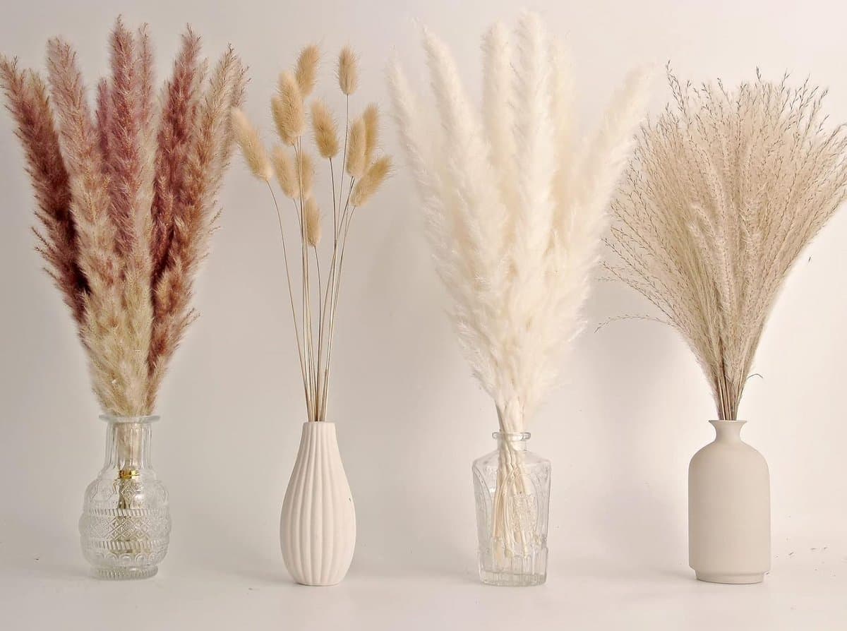 65 stuks Pampasgrasdecoratie, inclusief Pompas Bloemen, Gedroogd Rietgras en Konijnenstaarten Gedroogde Bloemen, Natuurlijk Gedroogd Pampasgras Boeket voor Boho Decoratie Bruiloft — afbeelding 1