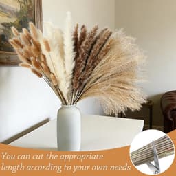 Gedroogde pampasbloemen, decoratie, pampasgras, XXL, gedroogde bloemen, decoratie voor woonkamer, slaapkamer, eettafel, bohemian sfeer — thumbnail 2