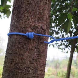 Elastische Waslijn voor Buiten - Draagbare Waslijn met 12 Clips, Verstelbaar van 180 tot 360 cm — thumbnail 3