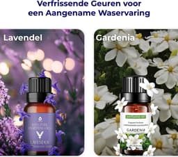 6 Drogerballen Voor Wasdrogers - Droogballen - Wasbollen - Gemaakt van 100% Nieuw-Zeelandse Schapen Wol - Incl. 2 Etherische Oliën - Wasdrogerballen - Wit — thumbnail 5