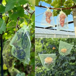 Druivenbeschermzak - Fruitbescherming - Beschermt tegen insecten - Met trekkoord sluiting - 100 stuks - Groen — thumbnail 3