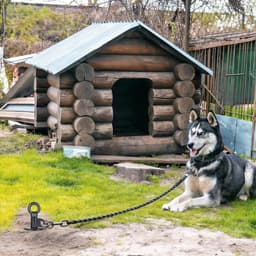Robuuste 38 cm Zwarte Hondenspringconnector met 360° Draaibare Ring voor Grote Honden, Inclusief Reinigingsborstel en Grondanker voor Stabiliteit en Veiligheid — thumbnail 2