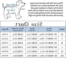 Hondenregenjas met Rits en Reflecterende Knopen, Waterafstotend, Verstelbare Trekkoord, Afneembare Kap, Stijlvolle Premium Regenjassen voor Honden - Maten XS tot XXL Beschikbaar - Geel - M — thumbnail 3