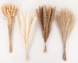 100 stuks decoratie van gedroogd pampasgras, gedroogd pampasgras — thumbnail 1