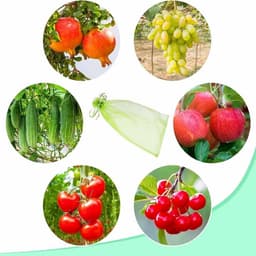 Fruitnetzakken met Trekkoord - Bescherming tegen Wespen, Vogels & Vliegen - 20 stuks - 10x15 cm - Groen — thumbnail 4