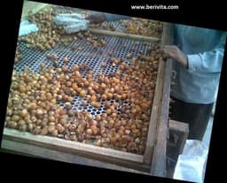 Wasnoten Start 150gr met Waszakje - Zeepnoten - Natuurlijk Wassen — thumbnail 5