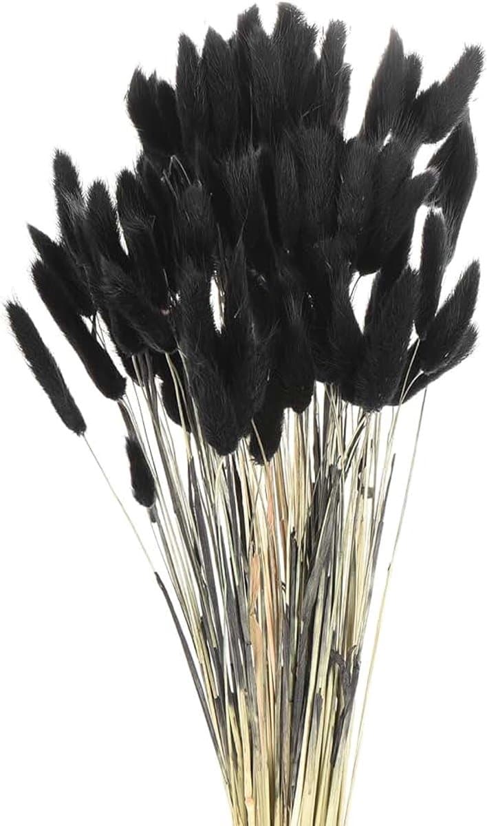 120 stuks natuurlijke hazenstaart, gedroogde bloemen, 43 cm, mini pampasgras, voor bloemendecoraties, bruiloft, Kerstmis, zwart — afbeelding 1