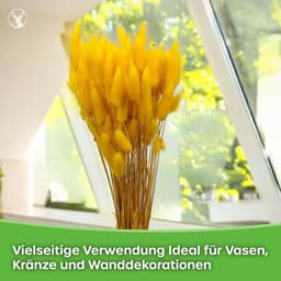 Dekogras, gedroogd gras, siergras, hazenstaarten, lagurus, ovatus, fluweelgras, haasstaartgras, droogbloemen, natuurlijk boho, 120 - 150 stuks, 100 g, parelgrijs — thumbnail 3