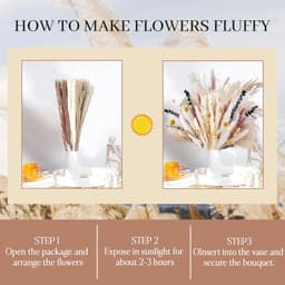 Gedroogde bloemen, woonkamerdecoratie, gedroogd pampasgras, decoratie — thumbnail 5