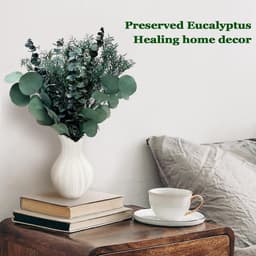 eucalyptus, gedroogd, 3 soorten gemengd voor de bruiloft — thumbnail 3