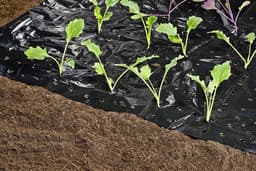 Grondankers 25 cm - Multifunctionele bevestigingsstaven voor tuinvlies en folie - 10 stuks — thumbnail 2
